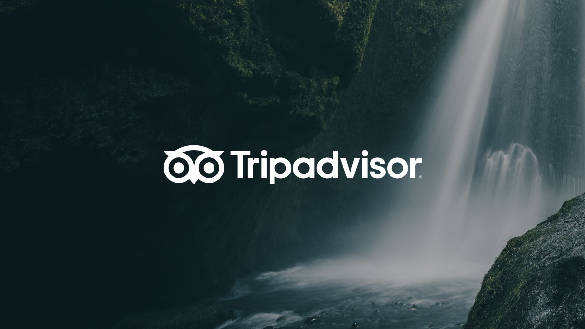 Tripadvisor's Future-Proofed Workplaces
